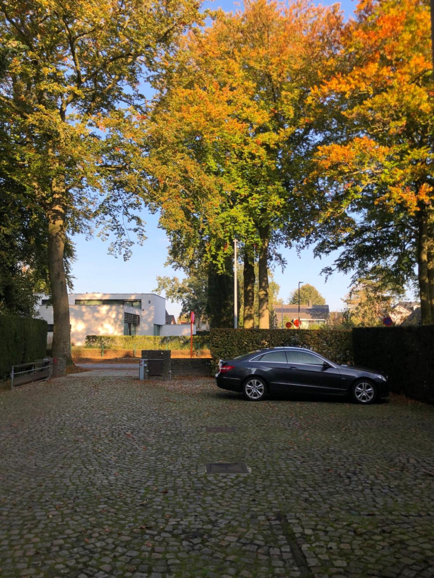 B&B Lobelia-Brugge Extérieur photo